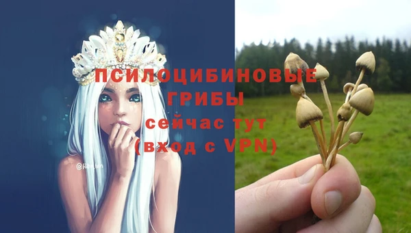 бошки Волосово
