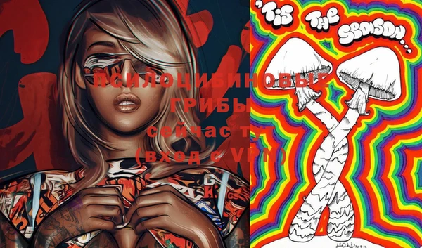 ECSTASY Вязники